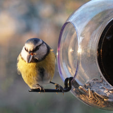 Load image into Gallery viewer, Window Bird Feeder